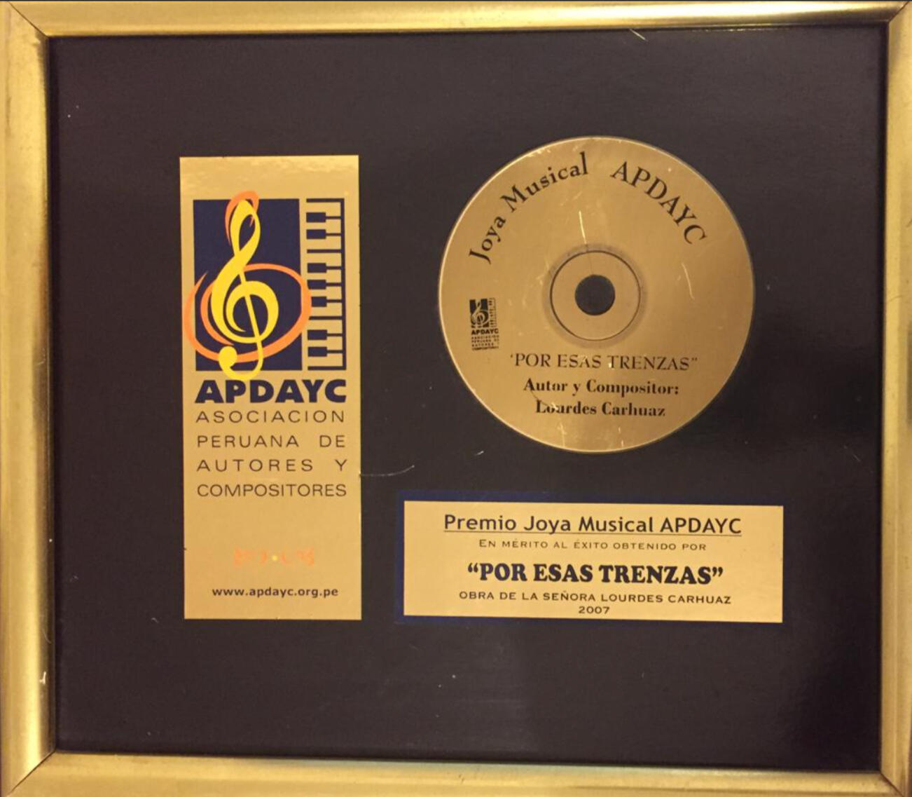 Premio Joya Musical, otorgado por la Asociación Peruana de Autores y Compositores (APDAYC), del año 2007, en mérito del éxito obtenido por “Por esas trenzas”.